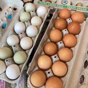 Farm fresh eggs in egg cartons
