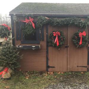 shed with wreathes and trees