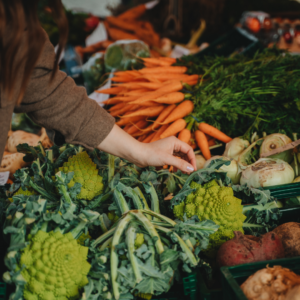 a large display of fresh vegetables