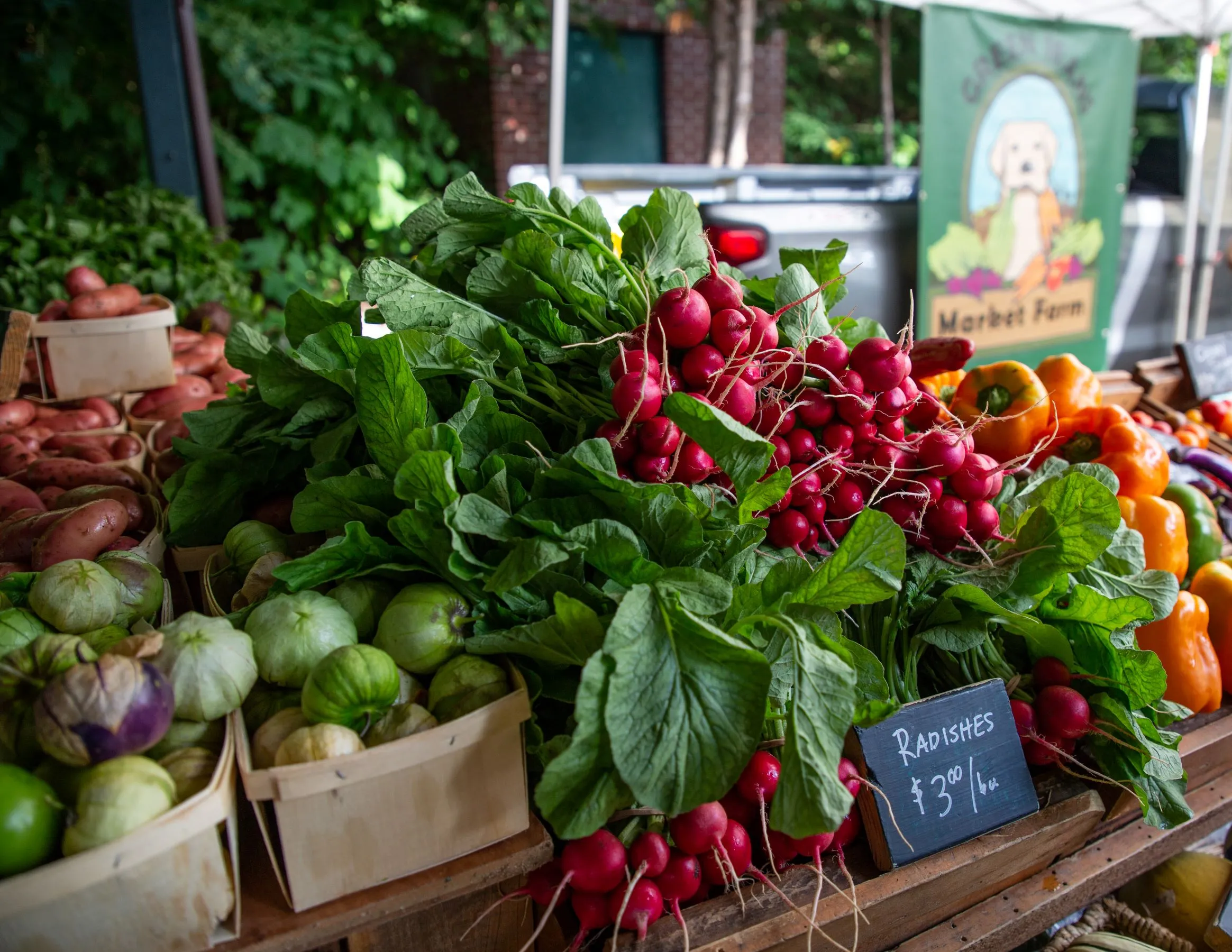 At the Saratoga Outdoor Markets, a vibrant farmers market stand displays fresh vegetables—radishes with greens, tomatillos in baskets, potatoes, and colorful bell peppers. A chalkboard sign lists radishes at $3 per bunch.