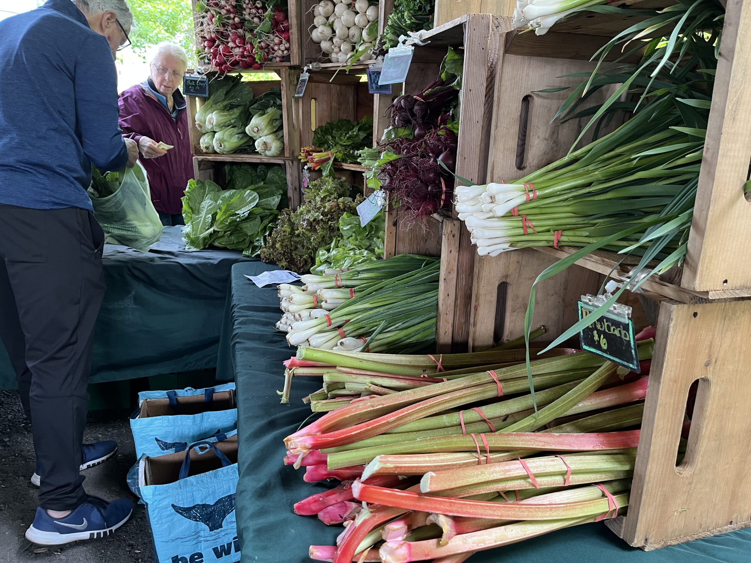 Rhubarb display at the Farmers' Market