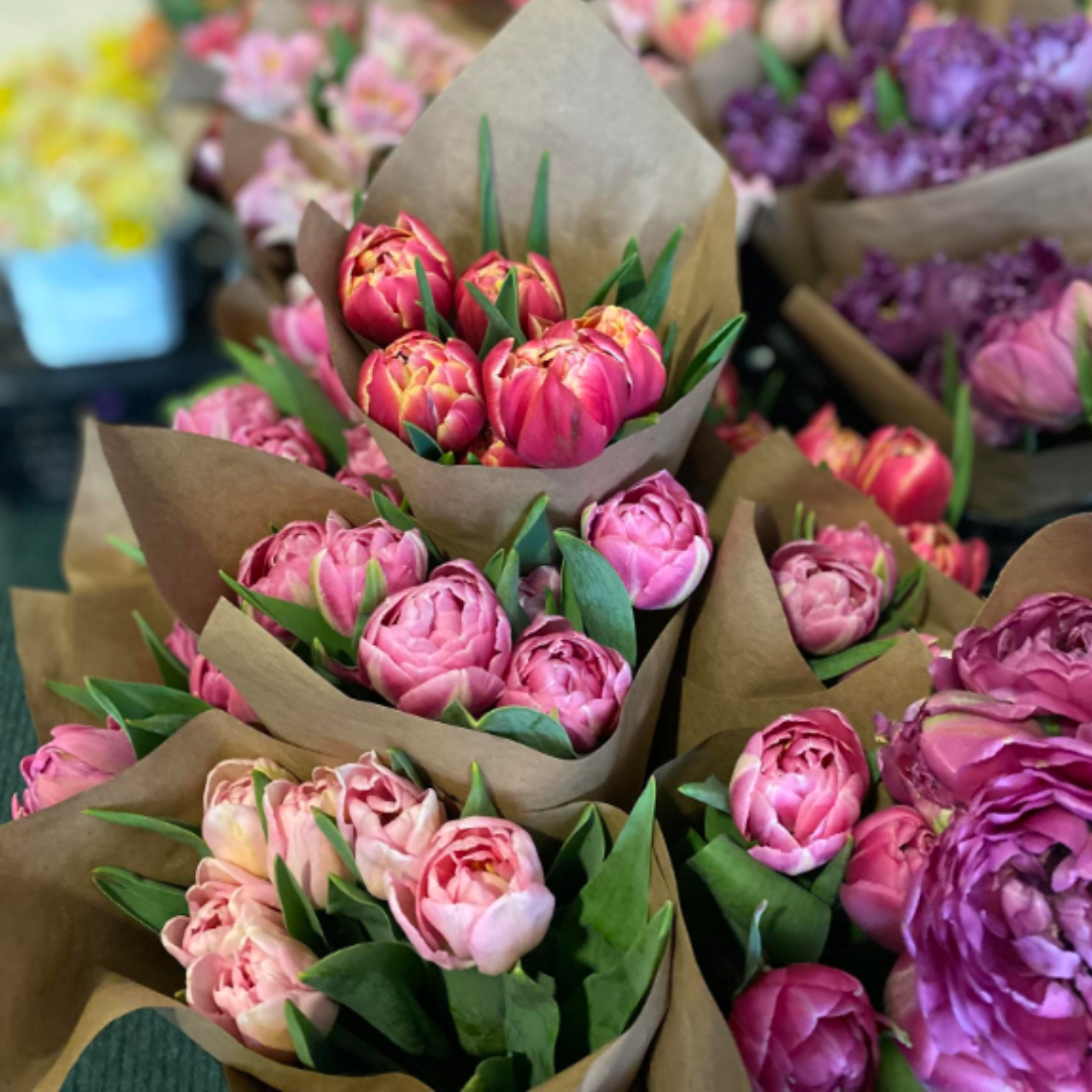 bouquets of tulips wrapped in paper