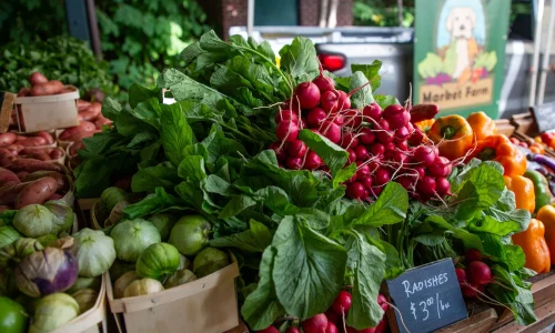 Green-Jeans-Market-Farm-photo-by-Pattie-Garrett At the Saratoga Outdoor Markets, a vibrant farmers market stand displays fresh vegetables—radishes with greens, tomatillos in baskets, potatoes, and colorful bell peppers. A chalkboard sign lists radishes at $3 per bunch.